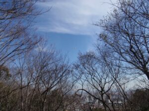 神戸港～神戸大学周辺4