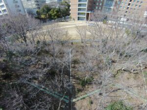 神戸港～神戸大学周辺6